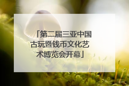 第二届三亚中国古玩暨钱币文化艺术博览会开幕