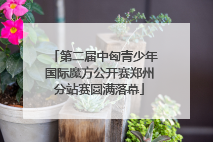 第二届中匈青少年国际魔方公开赛郑州分站赛圆满落幕