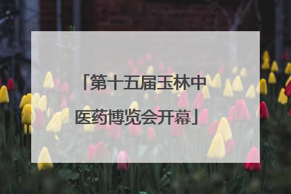 第十五届玉林中医药博览会开幕