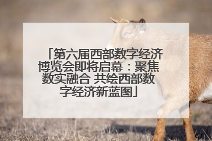 第六届西部数字经济博览会即将启幕：聚焦数实融合 共绘西部数字经济新蓝图
