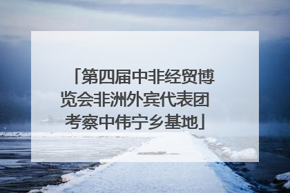 第四届中非经贸博览会非洲外宾代表团考察中伟宁乡基地