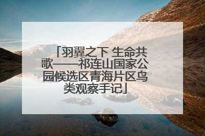 羽翼之下 生命共歌——祁连山国家公园候选区青海片区鸟类观察手记