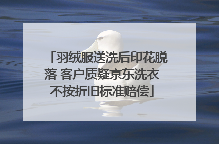 羽绒服送洗后印花脱落 客户质疑京东洗衣不按折旧标准赔偿