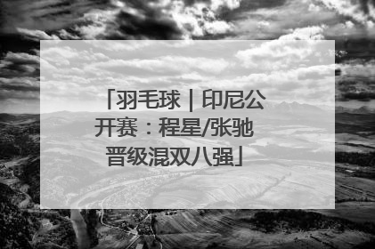羽毛球｜印尼公开赛：程星/张驰晋级混双八强
