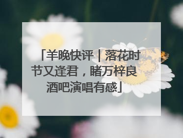 羊晚快评｜落花时节又逢君，睹万梓良酒吧演唱有感