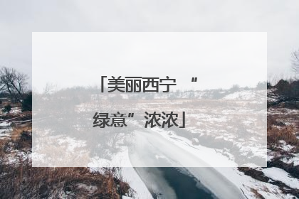 美丽西宁 “绿意”浓浓