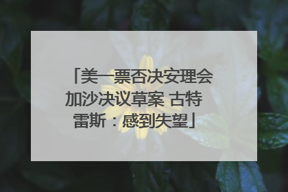 美一票否决安理会加沙决议草案 古特雷斯：感到失望