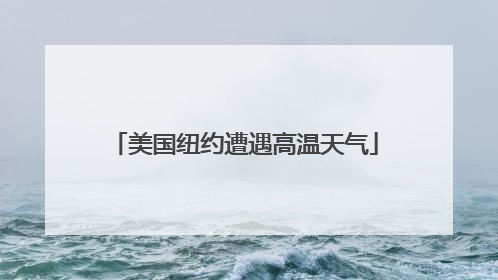 美国纽约遭遇高温天气