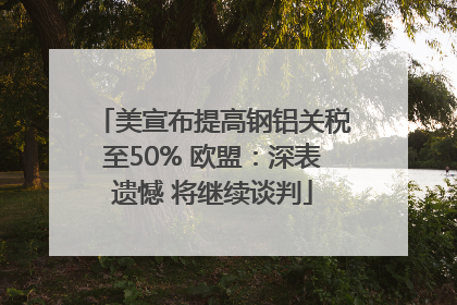 美宣布提高钢铝关税至50% 欧盟：深表遗憾 将继续谈判