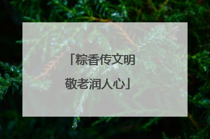 粽香传文明 敬老润人心