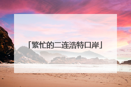 繁忙的二连浩特口岸