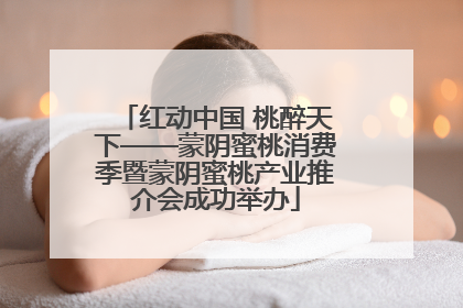 红动中国 桃醉天下——蒙阴蜜桃消费季暨蒙阴蜜桃产业推介会成功举办