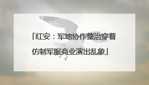 红安：军地协作整治穿着仿制军服商业演出乱象