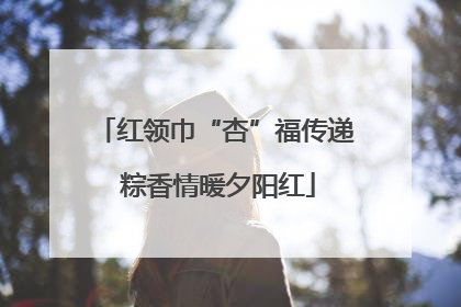红领巾“杏”福传递 粽香情暖夕阳红