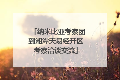纳米比亚考察团到湘潭天易经开区考察洽谈交流