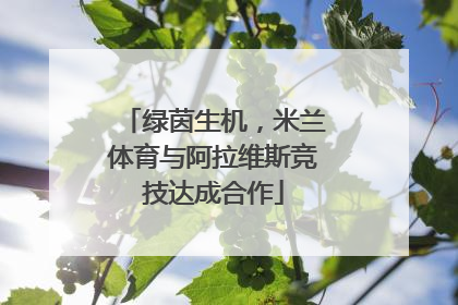 绿茵生机，米兰体育与阿拉维斯竞技达成合作