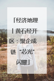 经济地理丨黄石经开区：聚企成链“芯光”闪耀