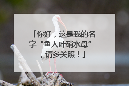 你好，这是我的名字“鱼人叶硝水母”，请多关照！