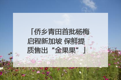 侨乡青田首批杨梅启程新加坡 保鲜提质售出“金果果”