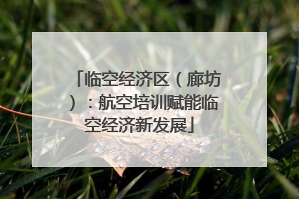 临空经济区（廊坊）：航空培训赋能临空经济新发展