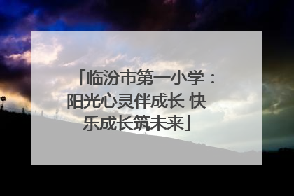 临汾市第一小学：阳光心灵伴成长 快乐成长筑未来