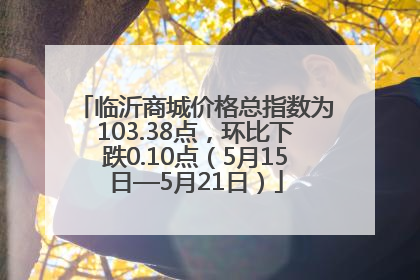 临沂商城价格总指数为103.38点，环比下跌0.10点（5月15日—5月21日）