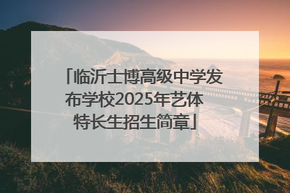 临沂士博高级中学发布学校2025年艺体特长生招生简章
