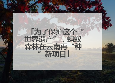 为了保护这个“世界遗产”，蚂蚁森林在云南再“种”新项目
