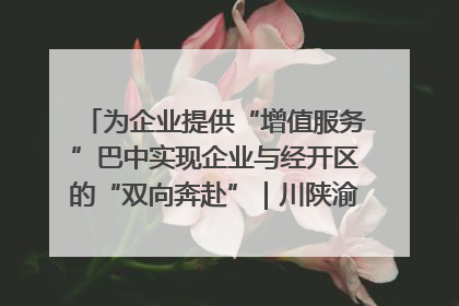 为企业提供“增值服务”巴中实现企业与经开区的“双向奔赴”｜川陕渝网络名人巴中行