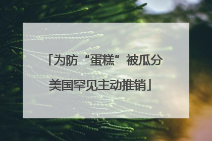 为防“蛋糕”被瓜分 美国罕见主动推销