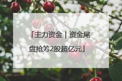 主力资金｜资金尾盘抢筹2股超亿元