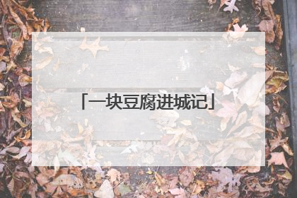 一块豆腐进城记
