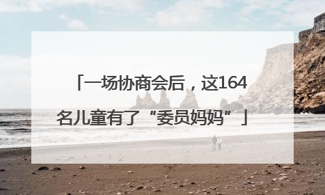 一场协商会后，这164名儿童有了“委员妈妈”