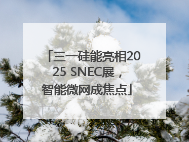 三一硅能亮相2025 SNEC展，智能微网成焦点