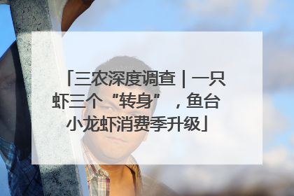 三农深度调查｜一只虾三个“转身”，鱼台小龙虾消费季升级