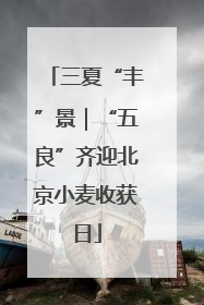三夏“丰”景｜“五良”齐迎北京小麦收获日