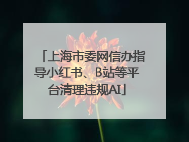 上海市委网信办指导小红书、B站等平台清理违规AI