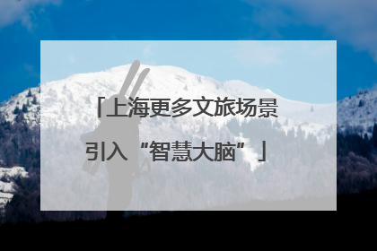 上海更多文旅场景引入“智慧大脑”