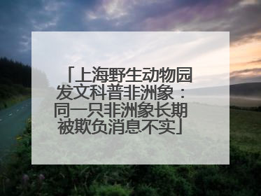 上海野生动物园发文科普非洲象：同一只非洲象长期被欺负消息不实