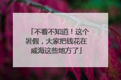 不看不知道！这个暑假，大家把钱花在威海这些地方了