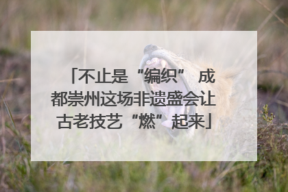 不止是“编织” 成都崇州这场非遗盛会让古老技艺“燃”起来