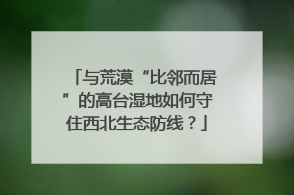 与荒漠“比邻而居”的高台湿地如何守住西北生态防线？