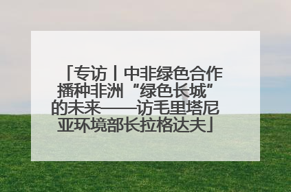 专访丨中非绿色合作播种非洲“绿色长城”的未来——访毛里塔尼亚环境部长拉格达夫