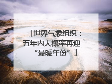 世界气象组织：五年内大概率再迎“最暖年份”