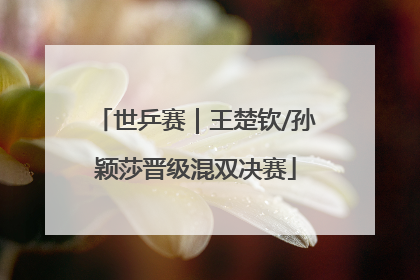 世乒赛｜王楚钦/孙颖莎晋级混双决赛