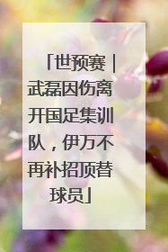 世预赛｜武磊因伤离开国足集训队，伊万不再补招顶替球员