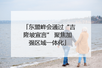 东盟峰会通过“吉隆坡宣言” 聚焦加强区域一体化