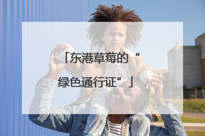 东港草莓的“绿色通行证”