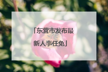 东营市发布最新人事任免
