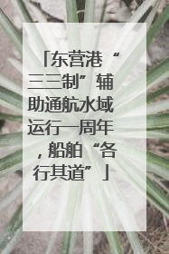 东营港“三三制”辅助通航水域运行一周年，船舶“各行其道”